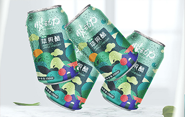 漯河苹果醋包装设计